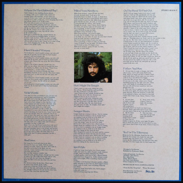 Cat Stevens : Tea For The Tillerman (LP, Album, RE, Gat)