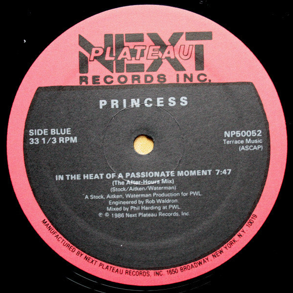 Princess : In The Heat Of A Passionate Moment (12")