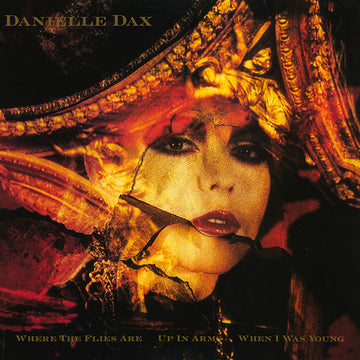 Danielle Dax : Where The Flies Are (12", Single)