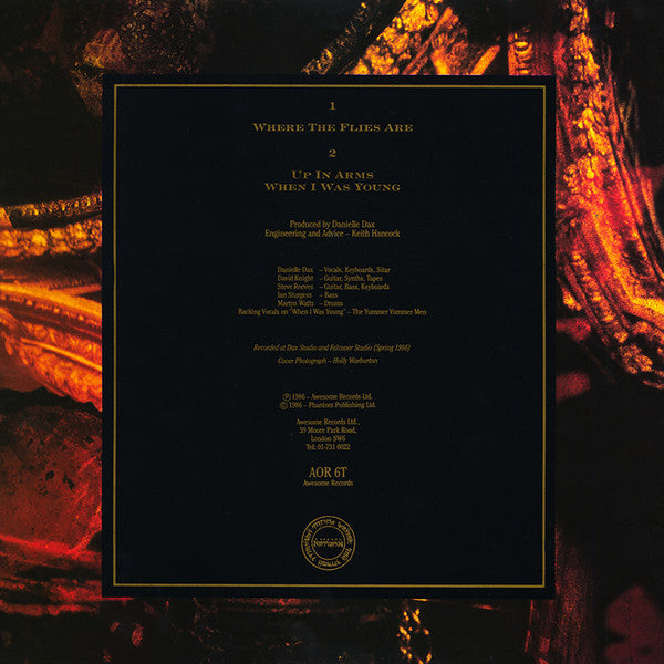 Danielle Dax : Where The Flies Are (12", Single)