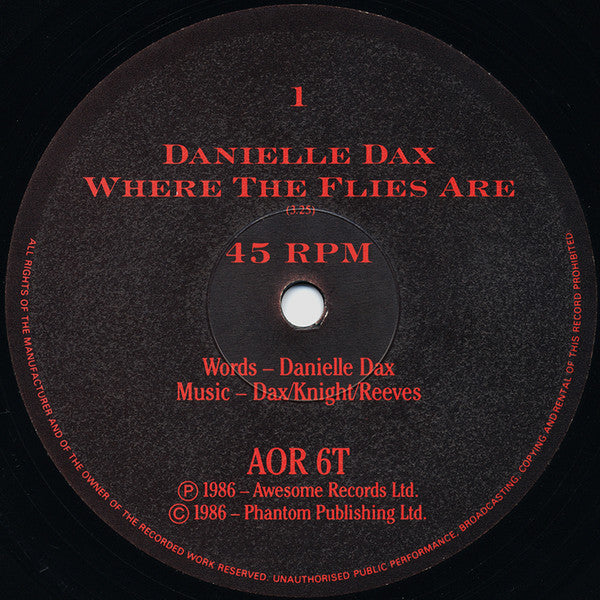 Danielle Dax : Where The Flies Are (12", Single)