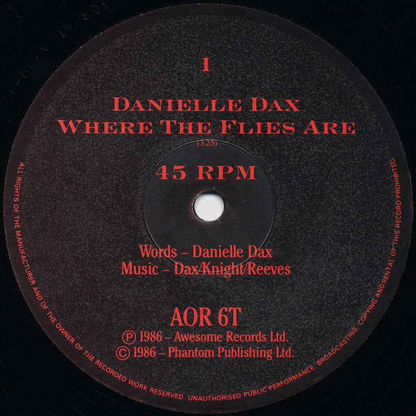 Danielle Dax : Where The Flies Are (12", Single)