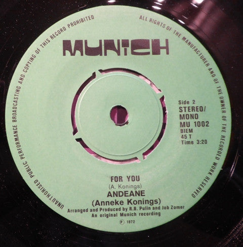 Andeane : It's Not Right / For You (7", Single)