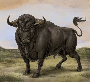 San Fermin : San Fermin (CD, Album, Dig)