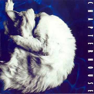 Chapterhouse : Whirlpool (CD, Album)