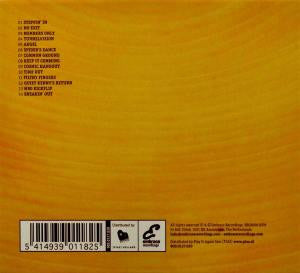 Rob Van De Wouw : Tunnelvision (CD, Album)