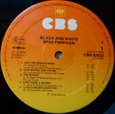 Mike Finnigan : Black & White (LP, Album)