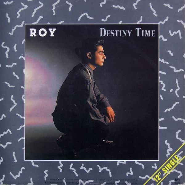 Roy : Destiny Time (12")