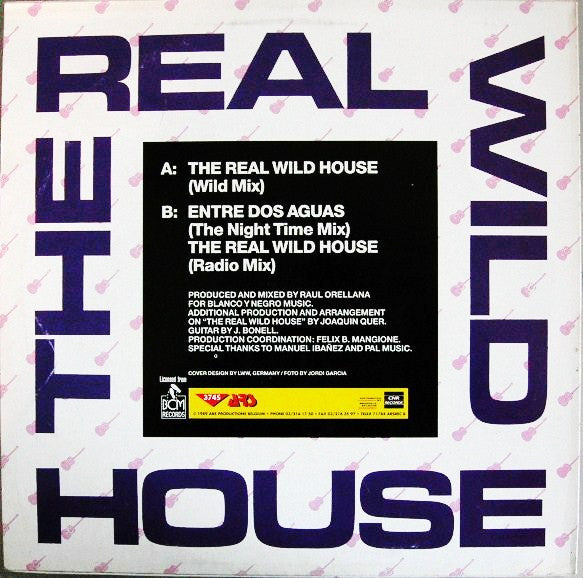 Raúl Orellana : The Real Wild House (12")