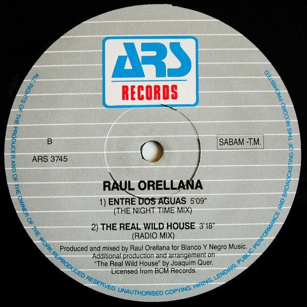 Raúl Orellana : The Real Wild House (12")