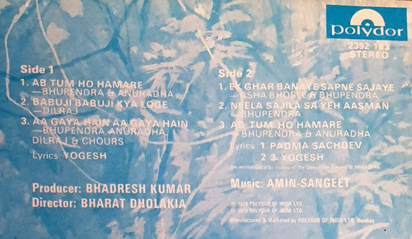 Amin Sangeet : Saahas (LP)