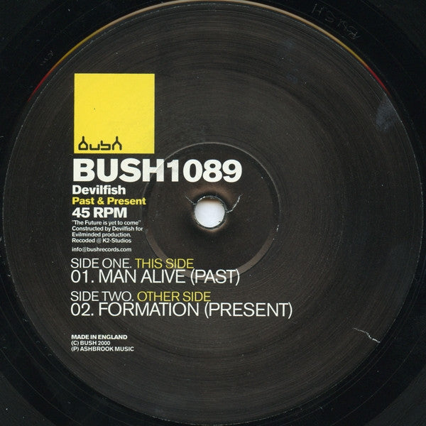 Devilfish : Past & Present (12")