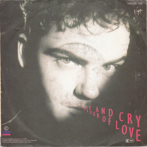 Hue & Cry : Labour Of Love (7", Single)