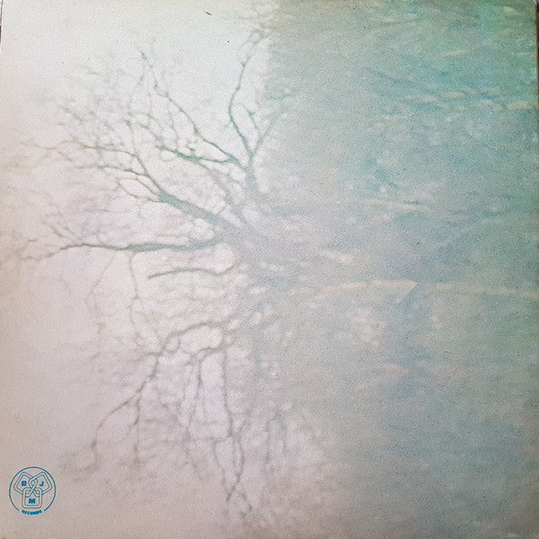 Jade (35) : Fly On Strangewings (LP, Album, Gat)