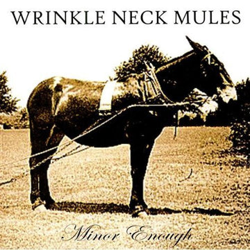 Wrinkle Neck Mules : Minor Enough (CD, Album)