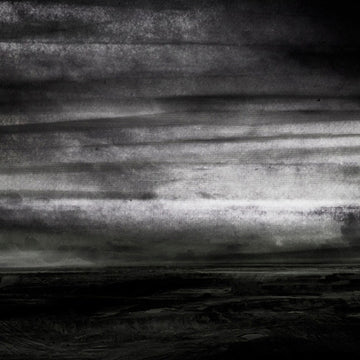 Stray Dogs : Wasteland (LP, Ltd, Num)