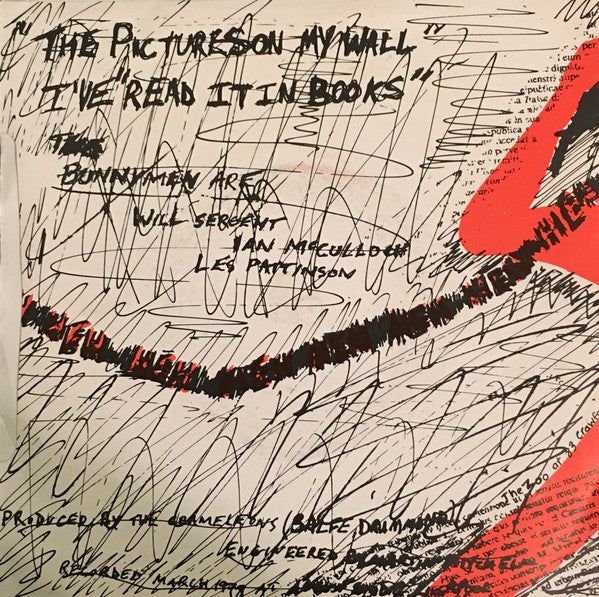 Echo And The Bunnymen* : The Pictures On My Wall (7", Single, dar)