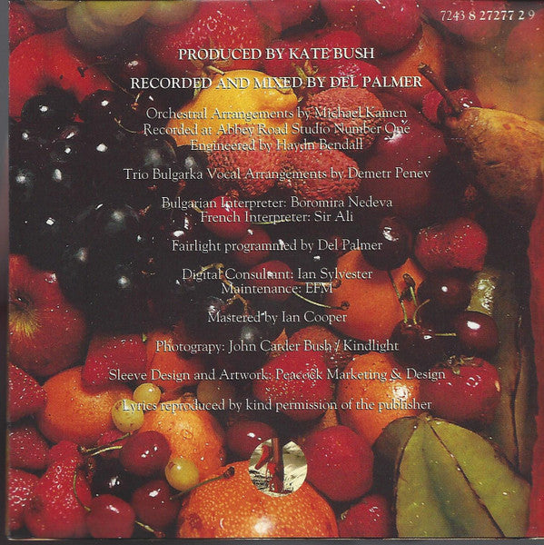 Kate Bush : The Red Shoes (CD, Album)