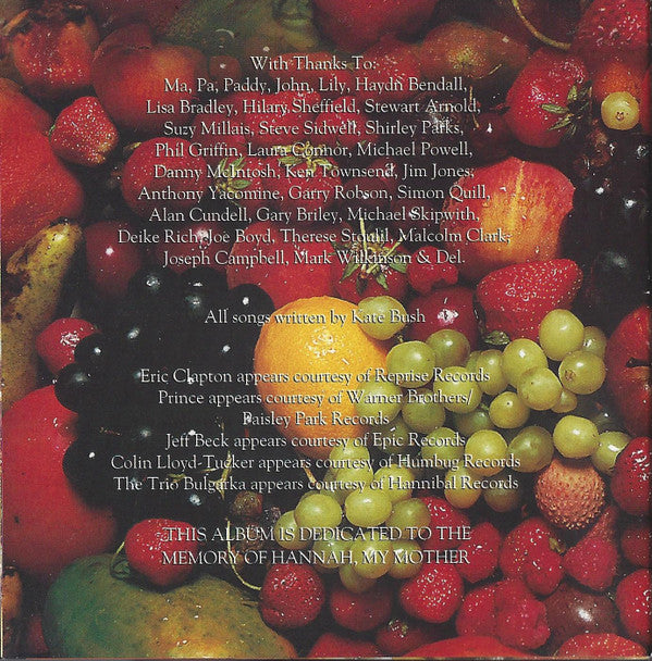 Kate Bush : The Red Shoes (CD, Album)
