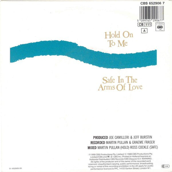 The Black Sorrows : Hold On To Me (7")
