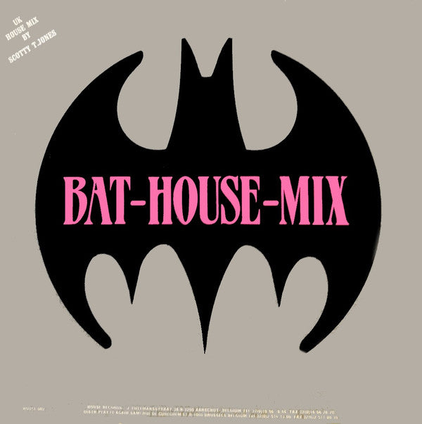 Bat House : Bat-House-Mix (12")