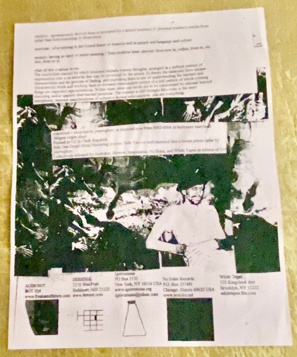 James Twig Harper : Intuitive American Esoteric Vol. 1 (LP)