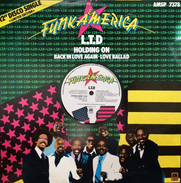 L.T.D* : Holding On (When Love Is Gone) (12", Single, Ltd)