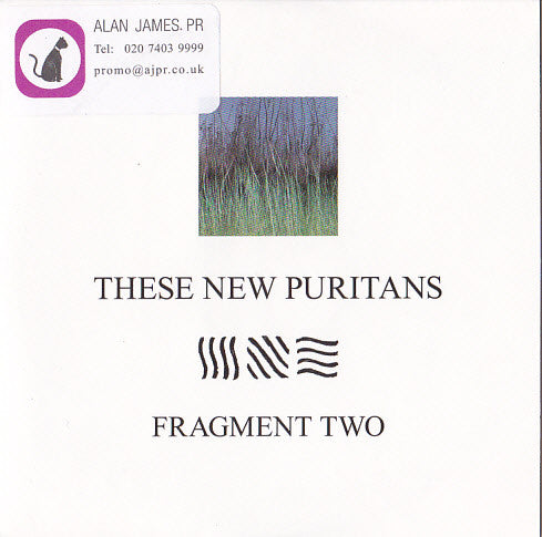 These New Puritans : Fragment Two (CD, Single, Promo)