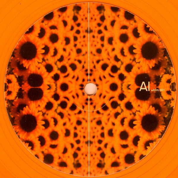 Halo : Dirty Soil EP (12", EP, Ora)