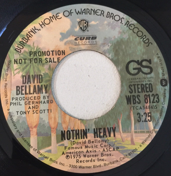 David Bellamy : Nothin' Heavy (7", Promo)