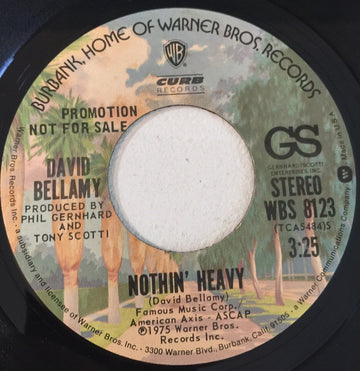 David Bellamy : Nothin' Heavy (7", Promo)