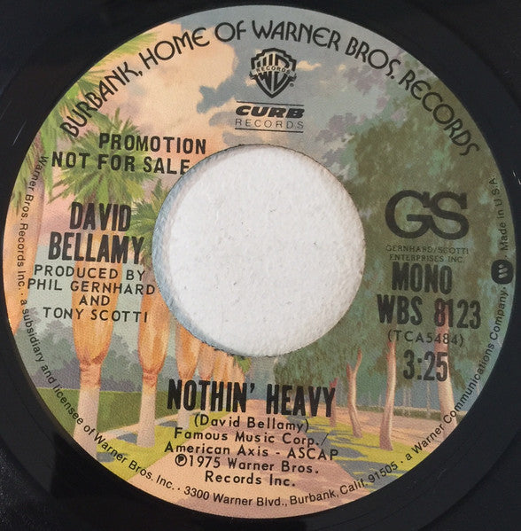 David Bellamy : Nothin' Heavy (7", Promo)