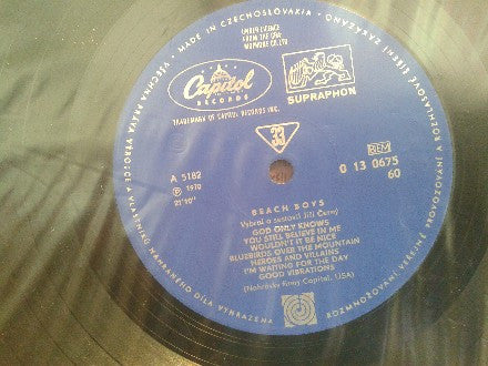 The Beach Boys : The Beach Boys (LP, Comp, Mono, Club)
