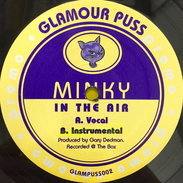 Minky : In The Air (12", Promo)
