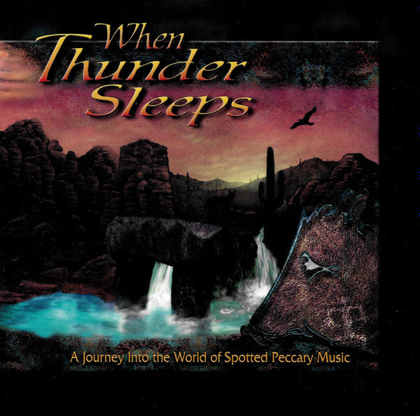 Various : When Thunder Sleeps (CD, Comp)