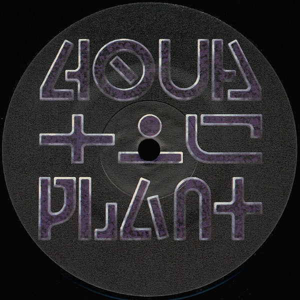 Analog Dynamix* : Welcome To My House ! (12")