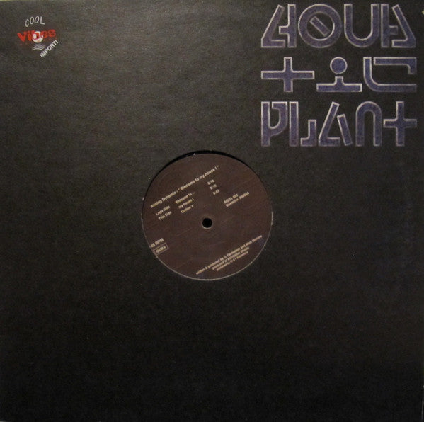 Analog Dynamix* : Welcome To My House ! (12")