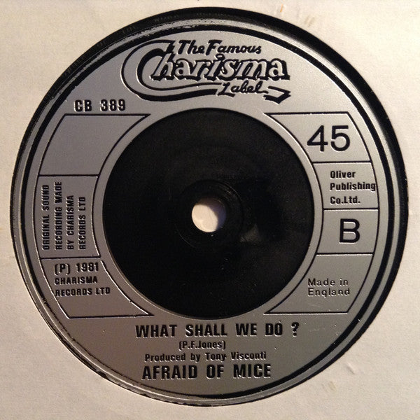 Afraid Of Mice : Intercontinental (7", Single)