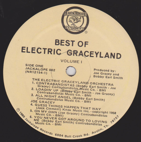 Various : The Best Of Electric Graceyland (LP)