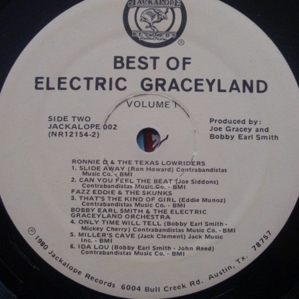 Various : The Best Of Electric Graceyland (LP)