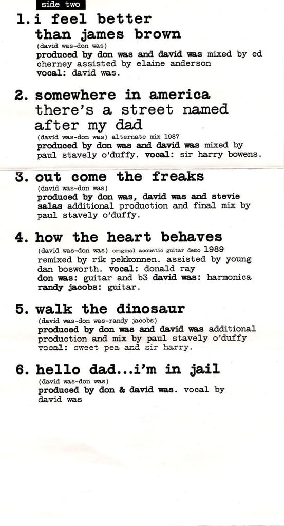 Was (Not Was) : Hello, Dad...I'm In Jail (Cass, Comp)