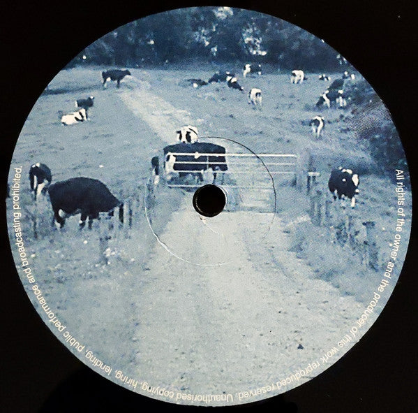 Daniel Wanrooy : Roda Summers (12")