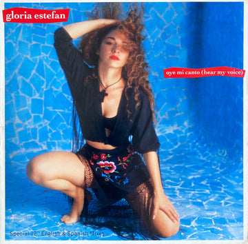 Gloria Estefan : Oye Mi Canto (Hear My Voice) (12", Maxi)