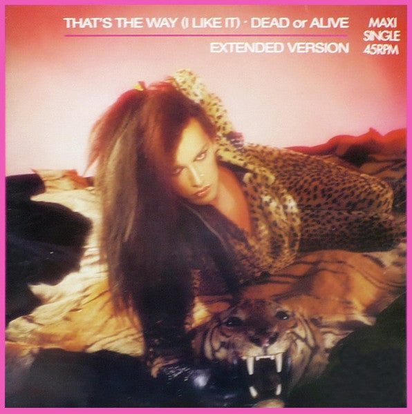 Dead Or Alive : That's The Way (I Like It) (Extended Version) (12", Maxi)