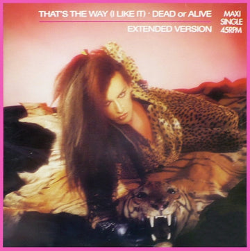 Dead Or Alive : That's The Way (I Like It) (Extended Version) (12", Maxi)
