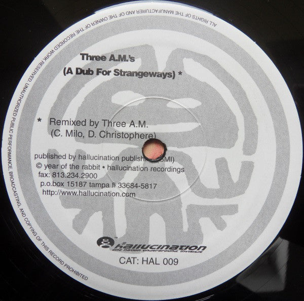 Rabbit In The Moon : FLooRi.D.A. (2x12", Single, Gat)