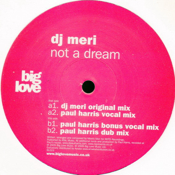 DJ Meri : Not A Dream (12")