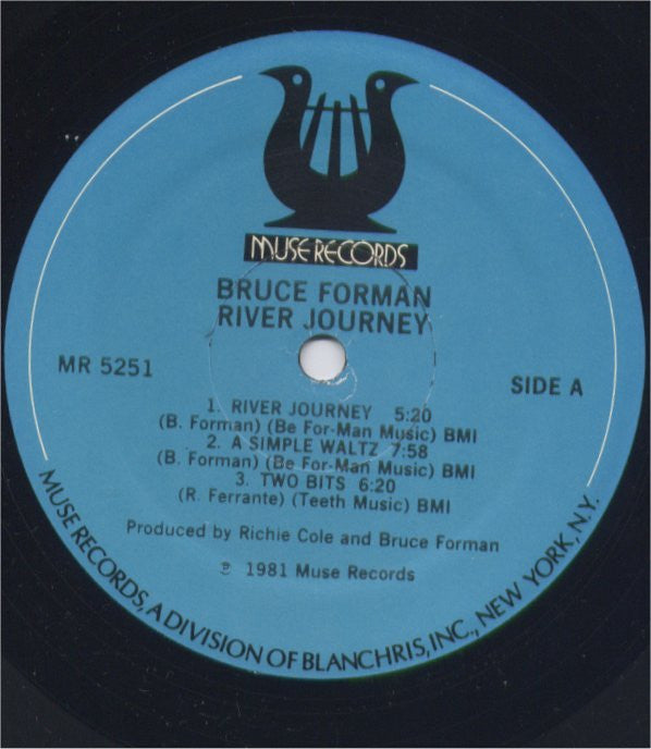 Bruce Forman : River Journey (LP, Album)
