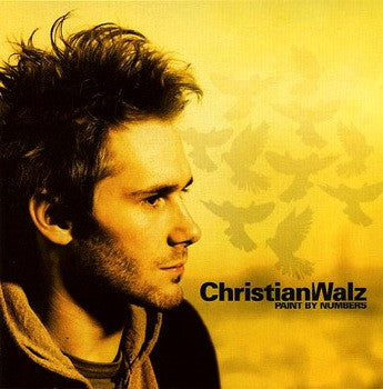 Christian Walz : Paint By Numbers (CD, Album)