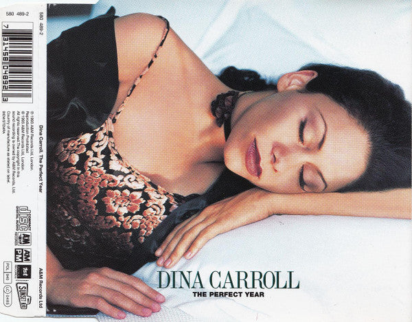 Dina Carroll : The Perfect Year (CD, Single)